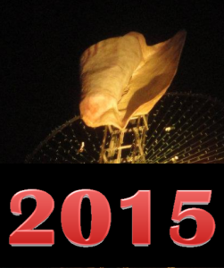 Don't let the Conch Shell Drop on You! Stick to your Resolutions this year.