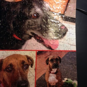 The finished puzzle!