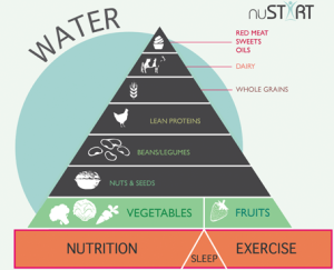 Healthy Pyramid of Food & Lifestyle Choices packed with nutrients.