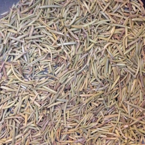 Dried Rosemary. Fresh looks similar but green and larger.